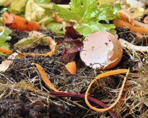 Compostage des dechets organiques